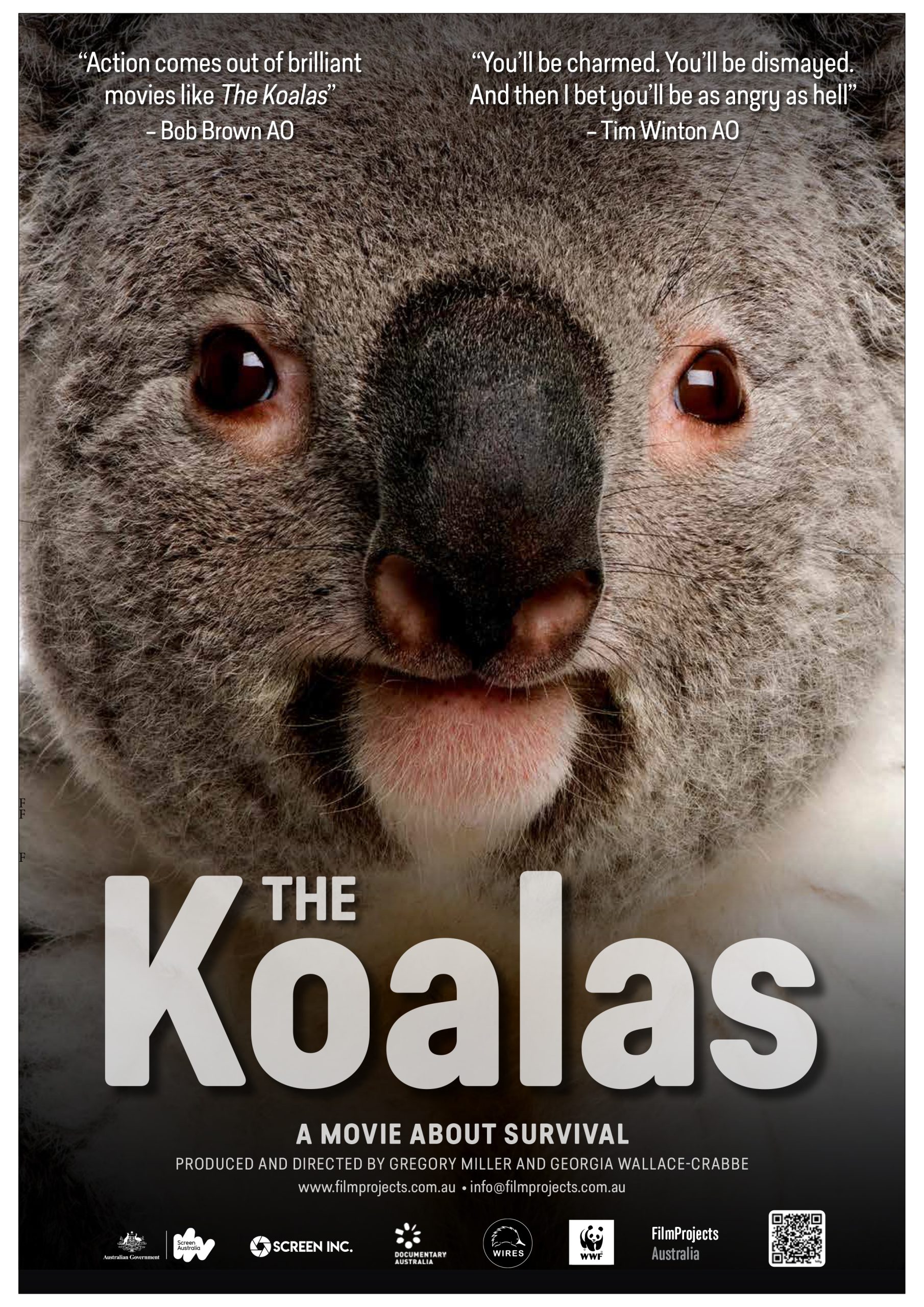 Koalas poster V10 6