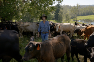 7 Rachel's Farm